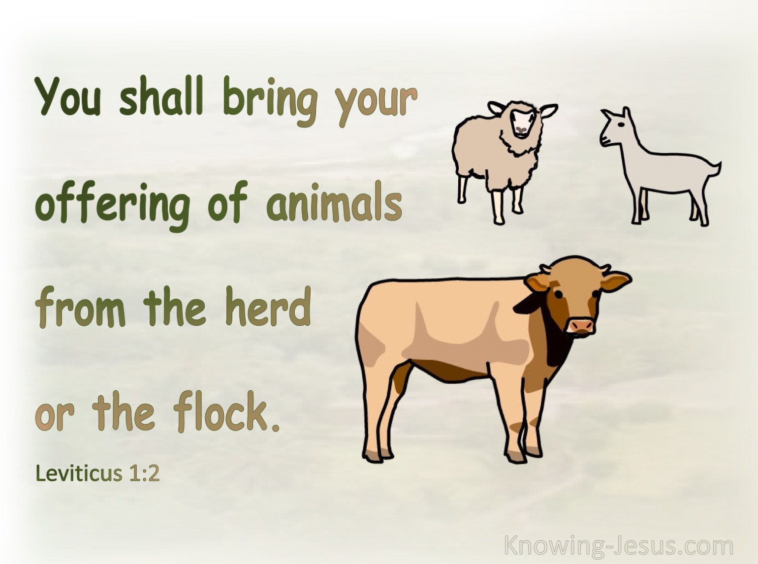 What Does Leviticus Say About Food